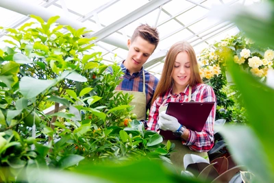 Coltiviamo con passione - Vivai Il pollice Verde, Asti