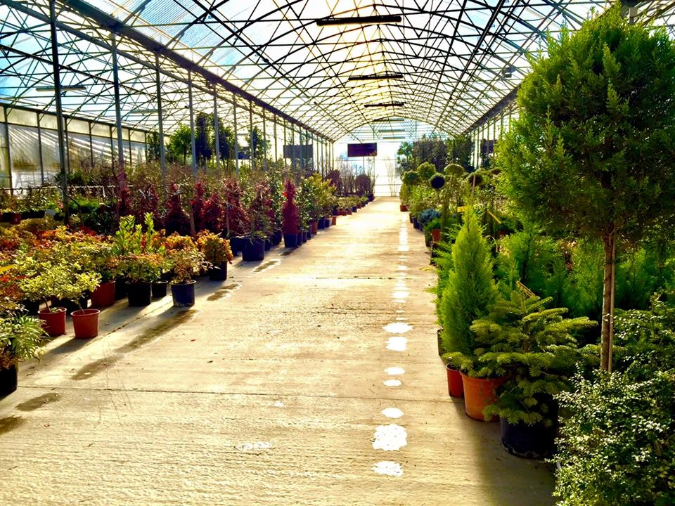 Le nostre serre - Vivai Il pollice Verde, Asti