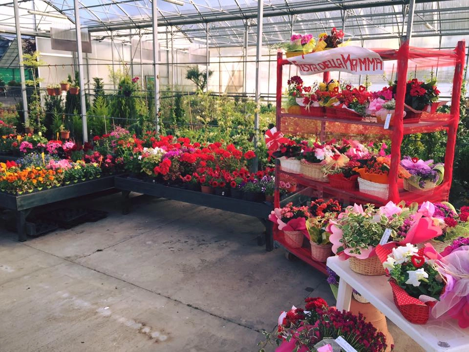 Le nostre serre - Vivai Il pollice Verde, Asti