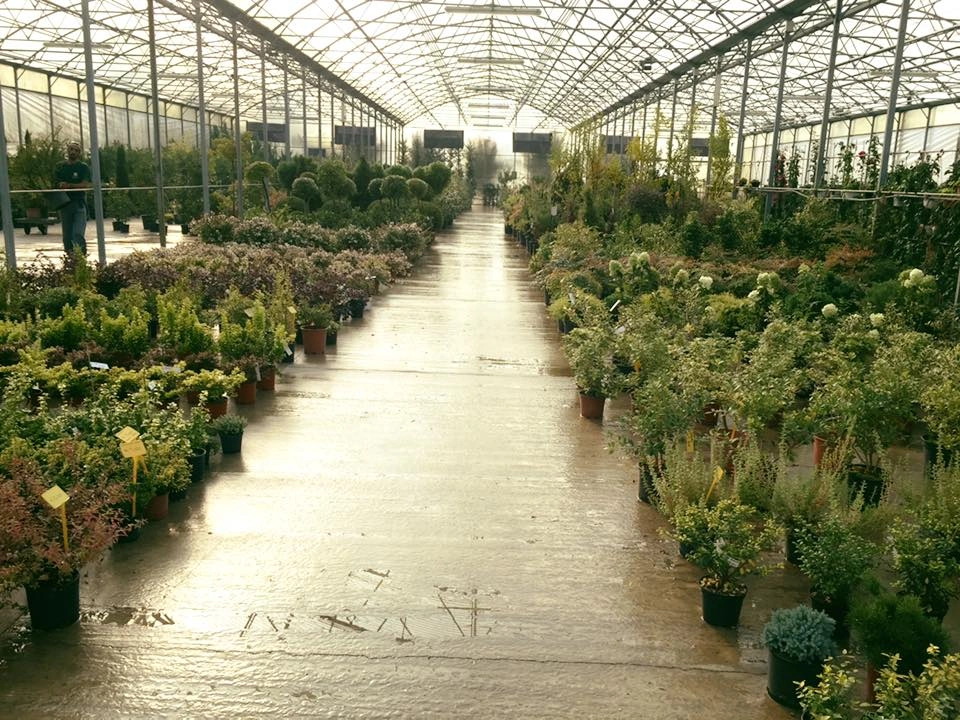 Le nostre serre - Vivai Il pollice Verde, Asti