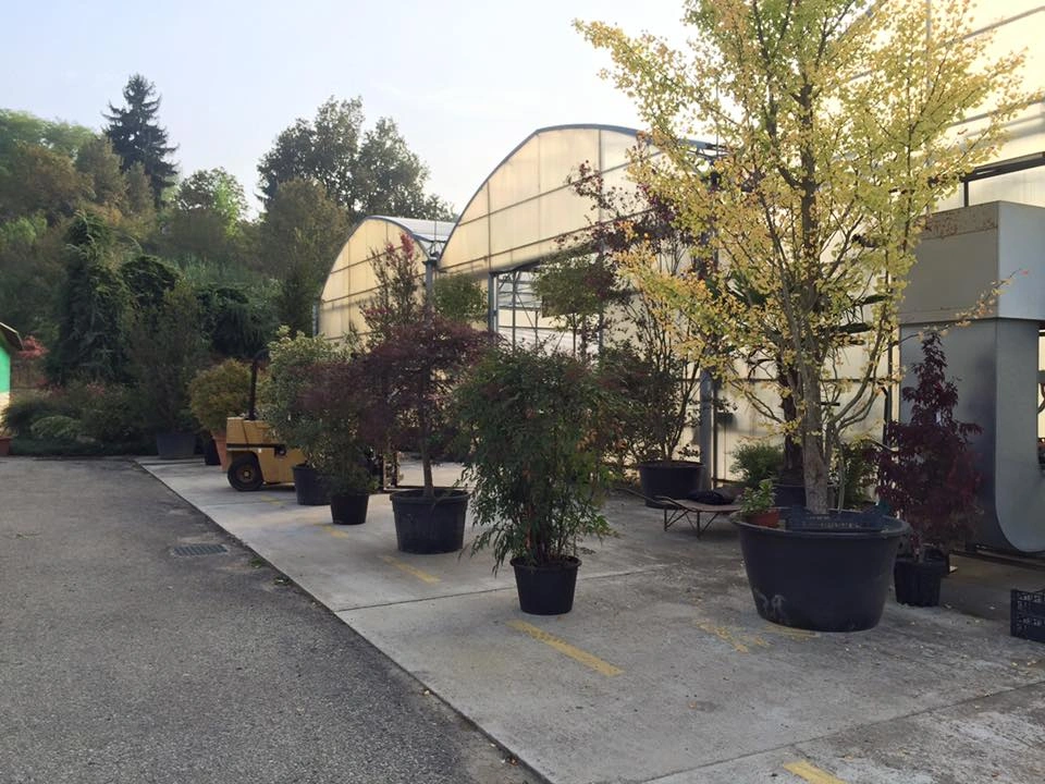 Le nostre serre - Vivai Il pollice Verde, Asti