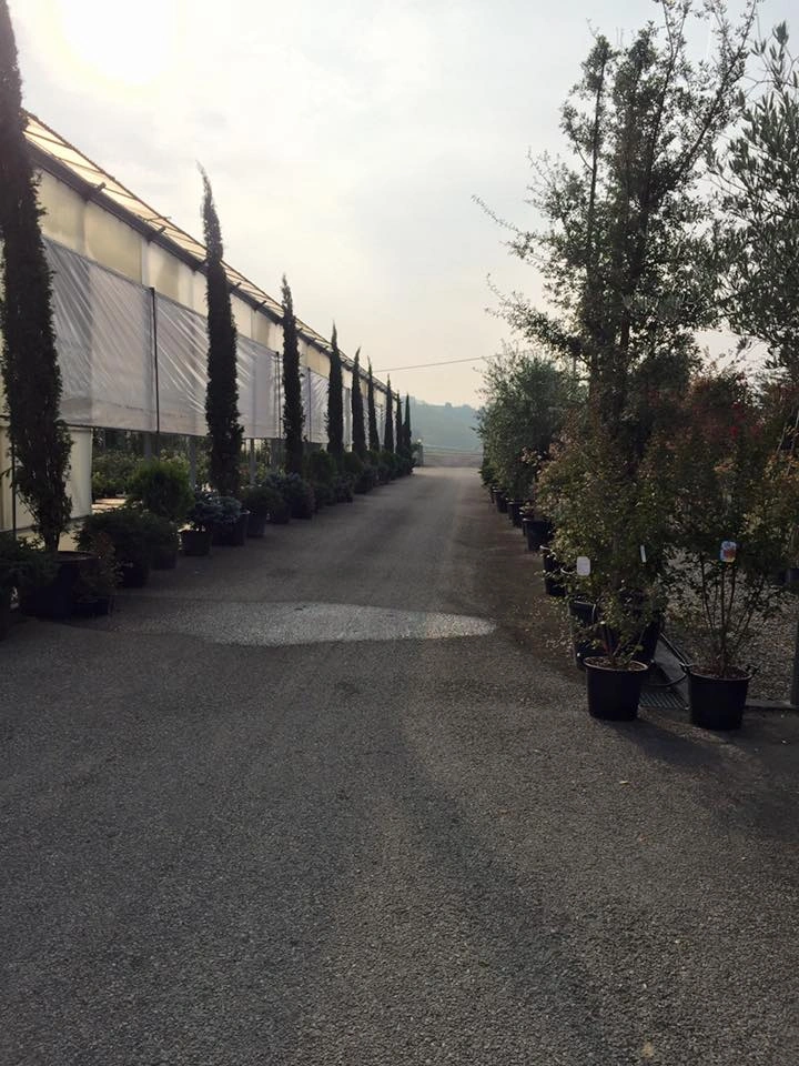 Le nostre serre - Vivai Il pollice Verde, Asti