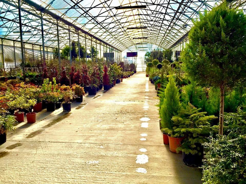 Le nostre serre - Vivai Il pollice Verde, Asti