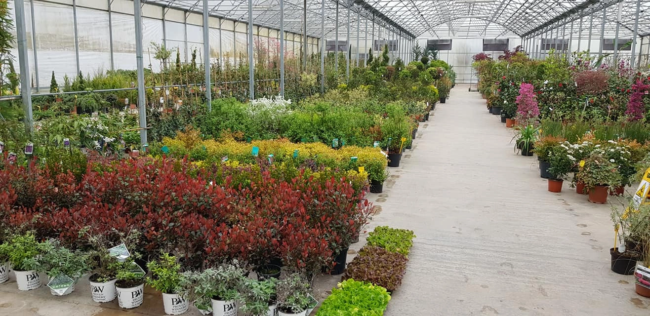 Le nostre serre - Vivai Il pollice Verde, Asti