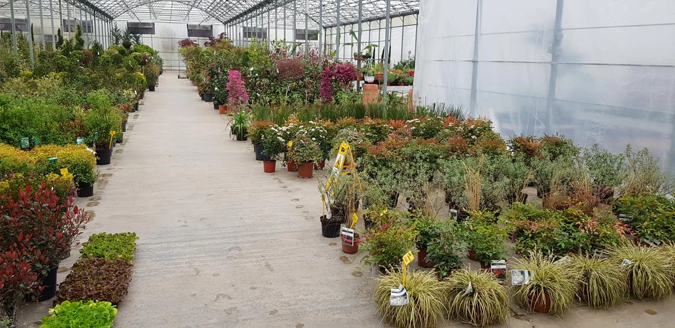 Le nostre serre - Vivai Il pollice Verde, Asti