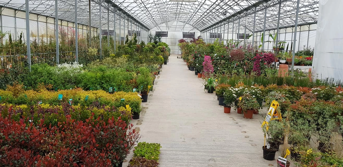 Le nostre serre - Vivai Il pollice Verde, Asti