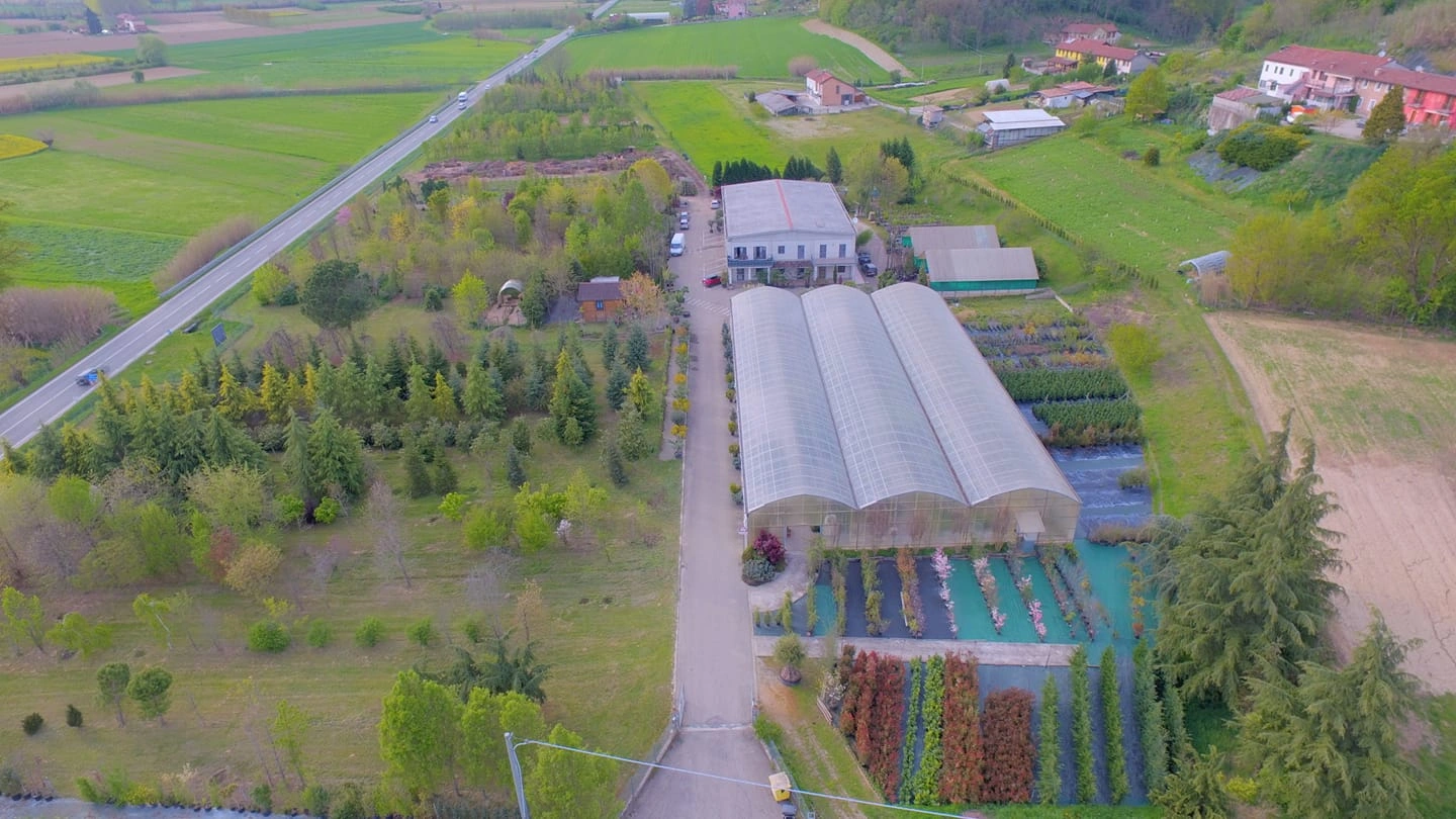 Le nostre serre - Vivai Il pollice Verde, Asti